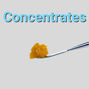 Concentrate LIGHT